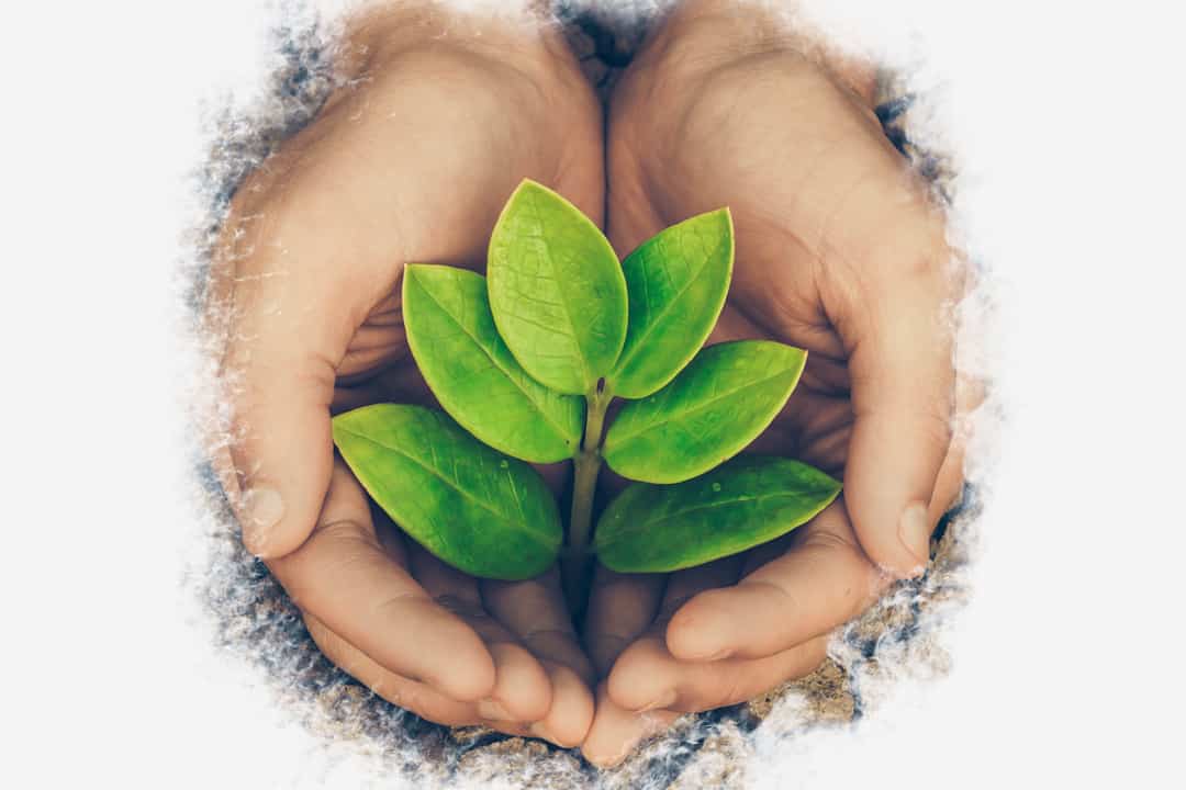 por-el-planeta-iniciativa2