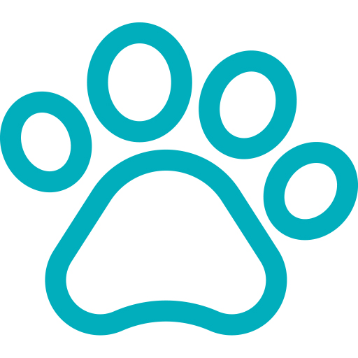 Mascotas